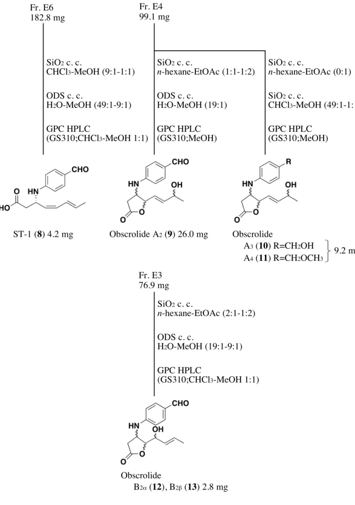 Figure 22.  放線菌 Streptomyces  sp. a-IG-KP-114.9  株より得られた     新規化合物及びその類縁体の分画ODS c. c.H2 O-MeOH (19:1-9:1)GPC HPLC (GS310;CHCl3 -MeOH 1:1)SiO2 c