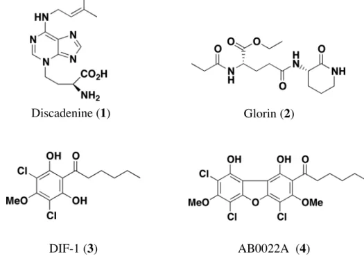 Figure 2. Known compounds isolated from cellular slime molds.