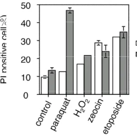 Fig. 4-5  SOD2 ᯜῤ᫤ࡡ྘ ROS Ⓠ⏍ムⷾវུᛮ