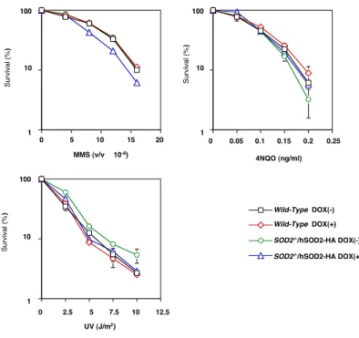 Fig. 4-8  SOD2 ᯜῤ᫤ࡡⷾ๠វུᛮ