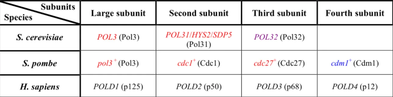Fig. 5 Schematic models of subunit interactions    In S. cerevisiae, Pol δ is a trimeric enzyme consisting of 125, 55  and 40 kDa polypeptides, corresponding to the catalytic subunit Pol3, Pol31 and Pol32 (panel a)