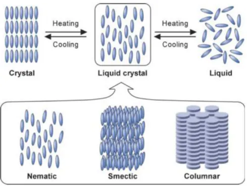 Figure 1.5. Schematic illustration of phase transition behaviour and the molecular order of liquid crystal