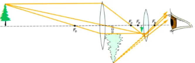 図 31: 望遠鏡や顕微鏡のしくみ 凸レンズ（対物レンズ）を通過して結像したもの を，別の凸レンズ（接眼レンズ）で覗き込むと，遠方のものが拡大された像として目 に映る．