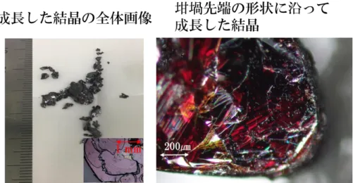 図 2.15 Sn 溶媒から成長した結晶 