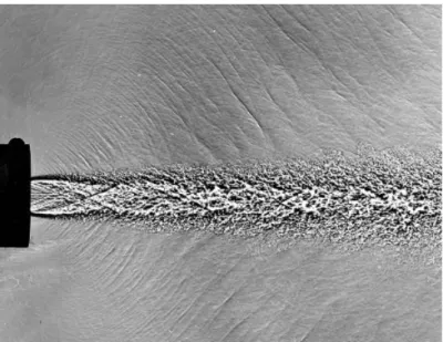 Figure 1.5: Shadowgraph visualization of the Mach wave radiation of Mach 2.0 cold jet (Tam, 2009).