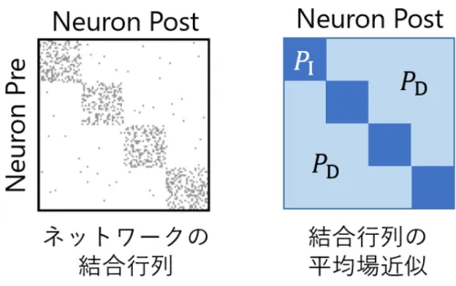図 2.3 ネットワークの結合行列と平均場近似した結合行列の概略図 結合行列の平均場近似を A = { a ij } とする．ネットワークの結合関係に焦点を当てて解 析を進めるため， a ij は b ij の要素が 1 以上となる確率に対応させる．すなわち， a ij = { 0 (b ij = 0) 1 (b ij ̸ = 0) (2.2) で示される二値化の操作を行う． モジュール内，モジュール間の結合密度がすべてのモジュールで同一の場合，平均場近 似した結合行列 A の要素 a ij は stoch
