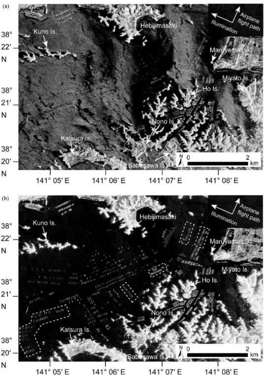 Figure 4. Images show (a) HH single polarisation and (b) HV single polarisation of Pi-SAR-L2 data for 6 August 2014