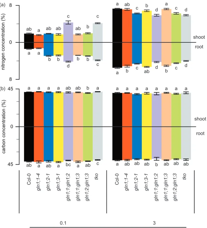 Figure 4. Ammonium-dependent nitrogen and carbon concentrations in roots and  shoots of wild type and gln1 mutants 