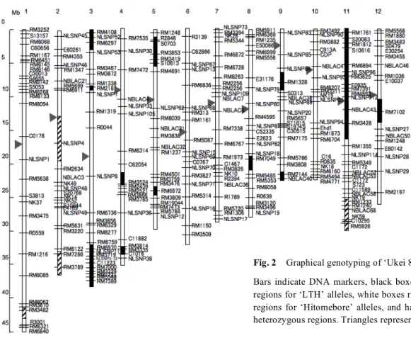 Fig. 1).    Analyzing genotypes of these plants using the DNA  markers  in  these  regions,  QTLs  were  again  investigated