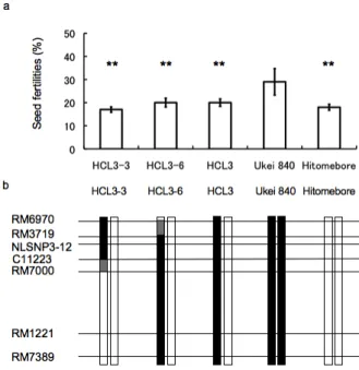 Fig.  5    Seed  fertilities  (a)  and  graphical  genotypes  of  heterozygous  CSSLs  of  HCL3-3,  HCL3-6  and  HCL3,  ‘Ukei  840’, and ‘Hitomebore’ in the QTL region (b)