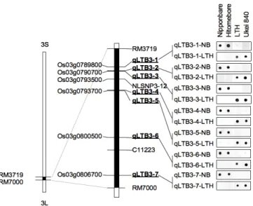 Fig. 6    A map of SNPs used for developing dot-blot-SNP  markers.     
