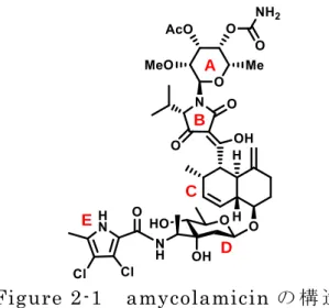 Figure 2-2  S. aureus GyrB subunit と amycolamicin の 共 結 晶 X 線 結 晶 構 造B DEACFigure 2-1 amycolamicin の 構 造
