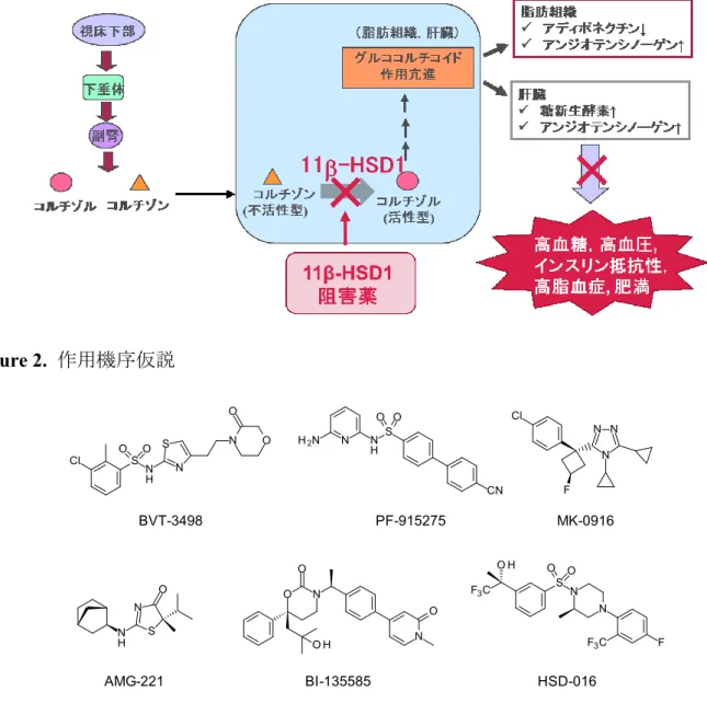 Figure 3. Structures of 11β-HSD1 inhibitors. 
