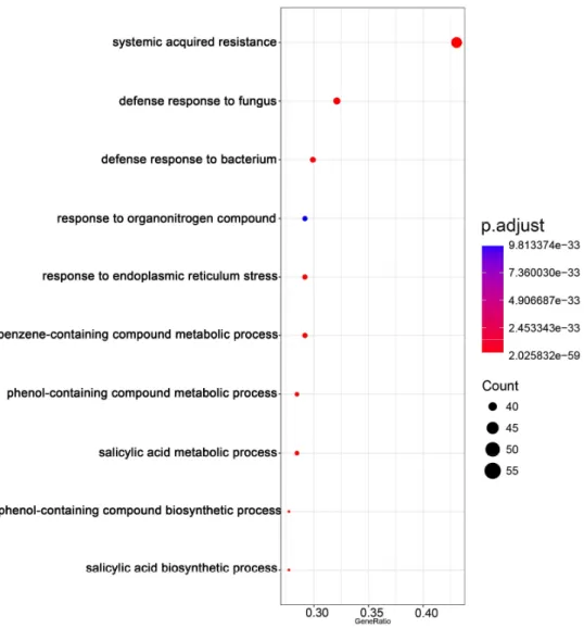 Figure  8.  Gene  ontology  enrichment  analysis  for  up-regulated  149  differentially  expressed  genes  specific  in  CMV(Y)-inoculated  Col::RCY1  leaves showing HR cell death