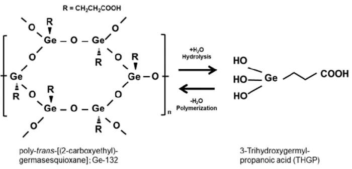 図 1 Ge-132 とその単量体 THGP の構造