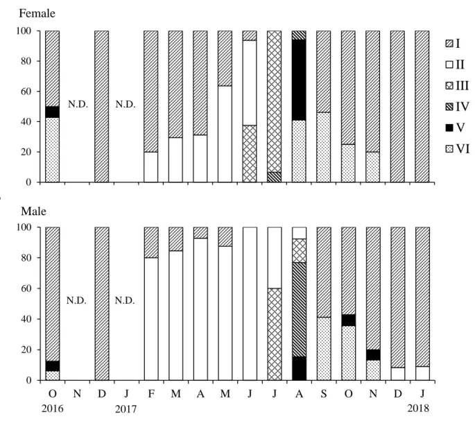 Fig. 1. Monthly changes in the gonad developmental stages of Heliocidaris crassispina  by sex in Toga Bay along the Oga Peninsula