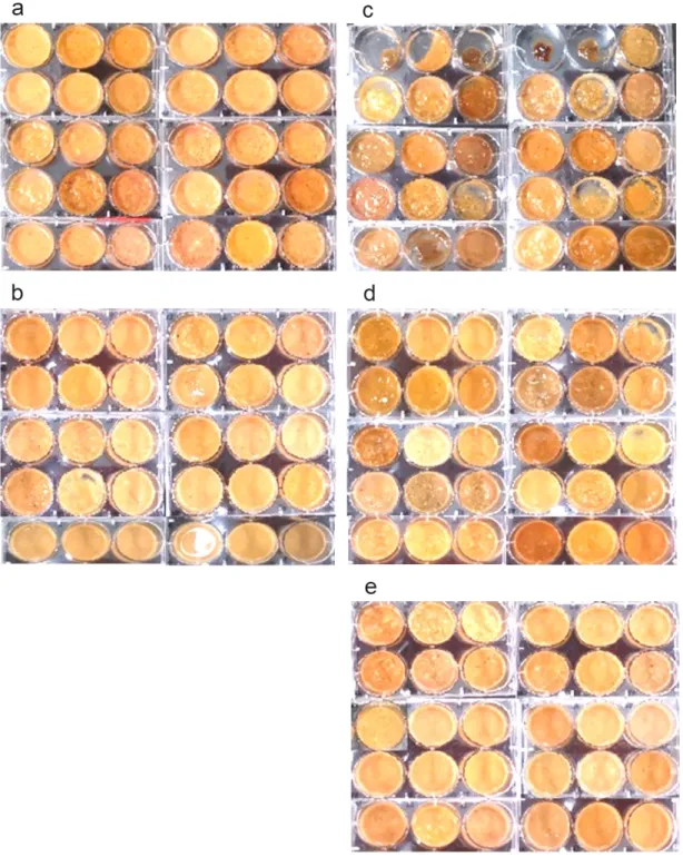 Figure 8. Individual gonads minced into paste by each treatment. a, SK; b, EK; c, SCB; 