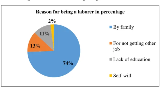 Figure 2.7: Reason for being an agricultural laborer