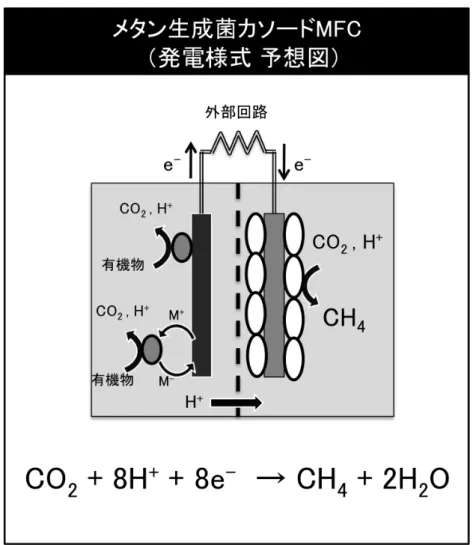 図  1-1-2  メタン菌カソード MFC の発電様式 