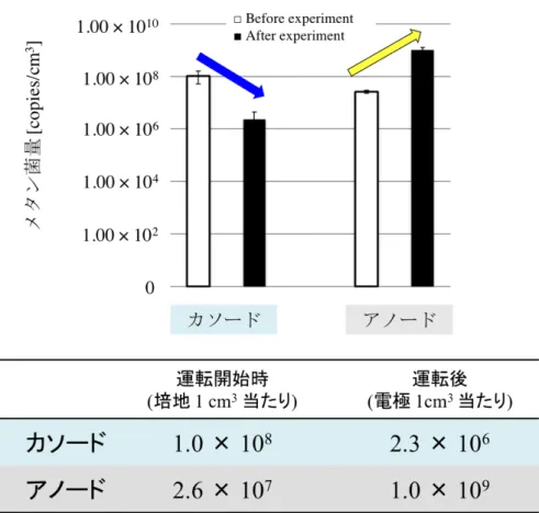 図  2-1-5  カソード/アノードチャンバーにおけるメタン菌量の変化 