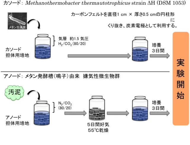 図   2-2-1   カソード / アノード電極の事前培養