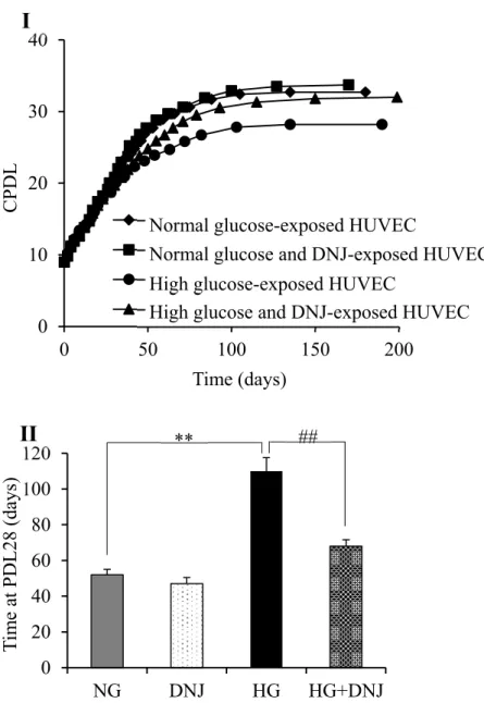 Figure 3. Effects of DNJ on cell proliferation in HUVECs exposed to high glucose. (I) Growth 