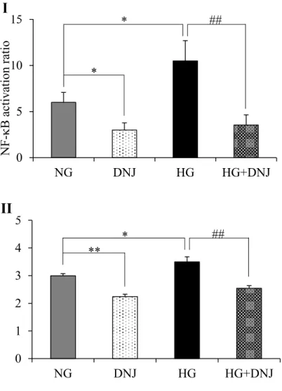 Figure 6. Effects of DNJ on NF-kB activation and ROS generation in high-glucose exposed 