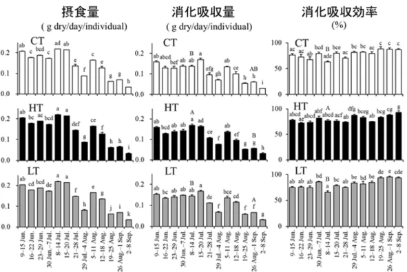 図 2. エゾバフンウニの対照区（CT）、高水温区（HT）ならびに低水温区（LT）における 摂食量（左） 、消化吸収量（中）ならびに消化吸収効率（右）．縦棒は標準誤差を示す。 異なるアルファベットは処理群間（大文字）と給餌時期間（小文字）で有意差があるこ とを示す。  図 3