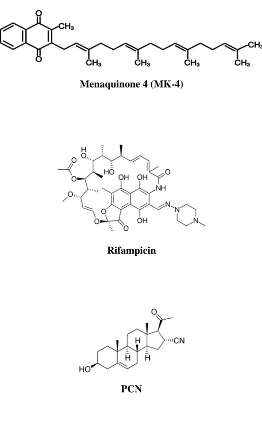 Figure 2: Structure of different ligands of PXR 