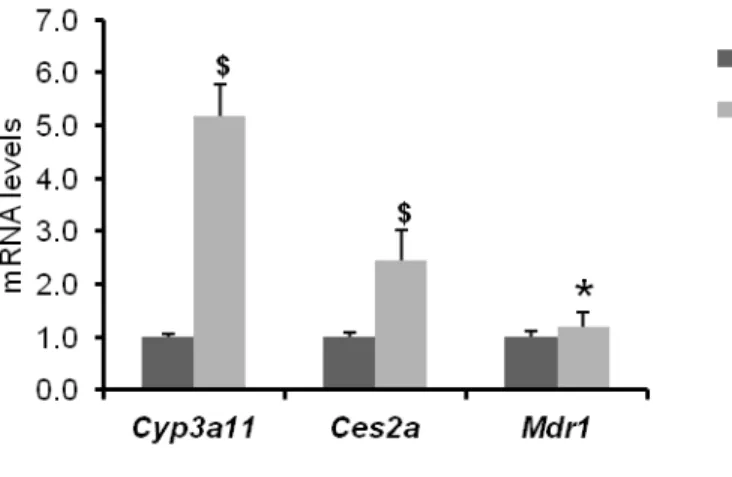 Figure 4: Effect of F2 diet on basal expression of genes encoding drug metabolizing proteins in  liver of WT and hPXR mice