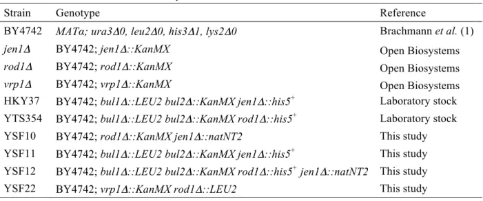Table 2 Yeast strains used in this study 