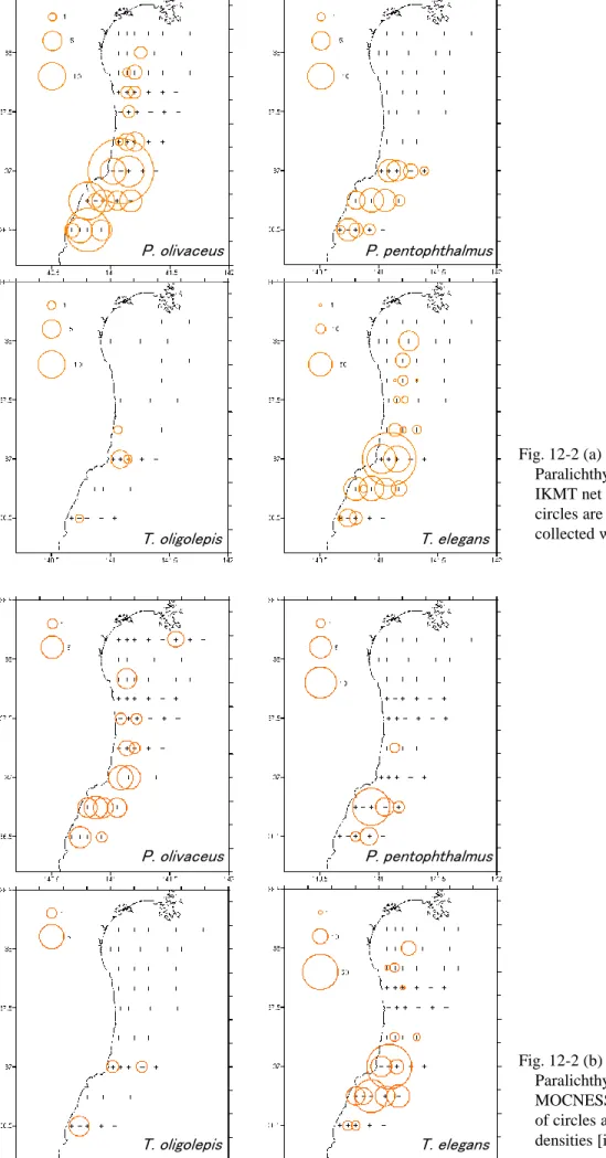 Fig. 12-2 (b) Horizontal distribution of  Paralichthyidae larvae collected with Fig. 12-2 (a) Horizontal distribution of 