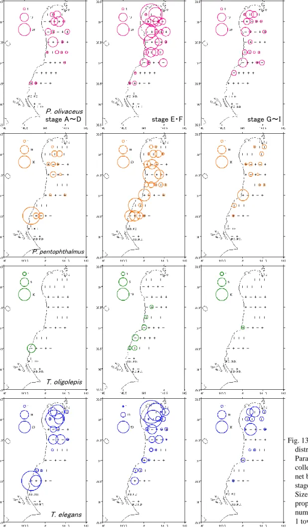 Fig. 13 (c) Horizontal  distribution of  Paralichthyidae larvae  collected with IKMT  net by developmental  stage in August 2007