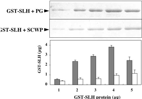 Fig. I-4. Binding of the SLH domain to peptidoglycan (PG) and secondary cell wall-polymers (SCWP) of strain W-61