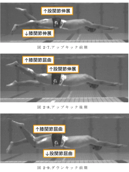 図 2 - 7 . ア ッ プ キ ッ ク 前 期  