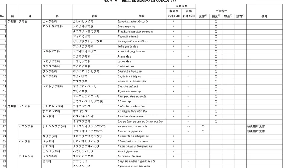 表 4.3  陸上昆虫類の出現状況(1)  採集状況 有東木 筏場 生態特性 N o. 綱 目 科 和名 学名 わさび田 わさび田 食害 1) 捕食 2) 寄生 3) 訪花 4) 備考 1 クモ綱 クモ目 ヒメグモ科 カレハヒメグモ En oplognatha abrup ta + 〇 2 アシナガグモ科 シロカネグモ属 Leucauge  sp