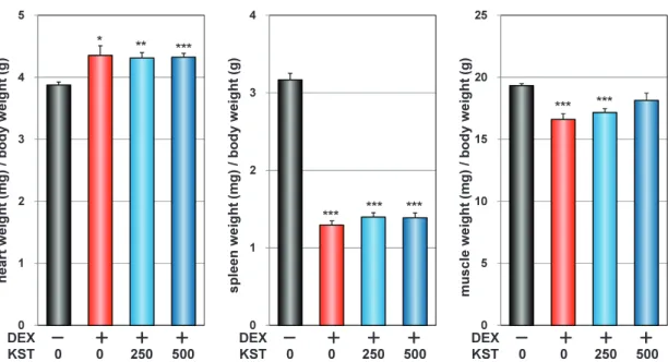 図 5. Dexamethasone 誘導筋委縮モデル解剖時の臓器重量