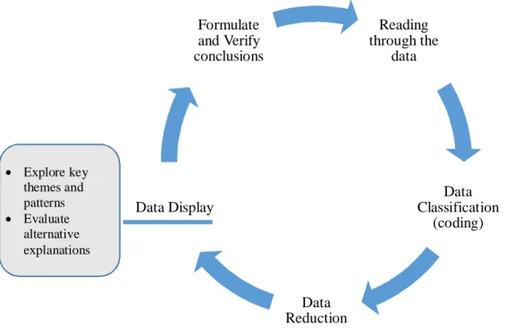 Figure 1.3. Data Analysis Procedure 