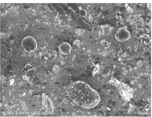 図 2.32  Oyu Tolgoy  の  SEM  写真 