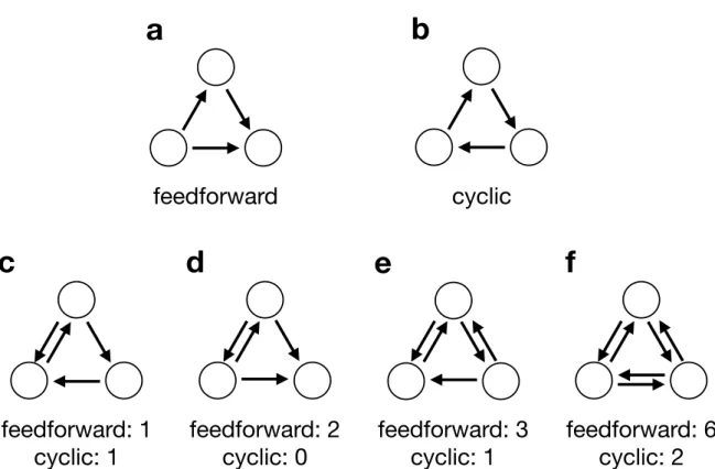 図 1. 有向三角形のパターンとその数え方。 (a) Feedforward 三角形。 (b) Cyclic 三角形。 (c)–(f) 有向三角形 と双方向の枝を含む 3 頂点パターン 4 種。図の下の数字はそのパターンが feedforward と cyclic 三角形の数 にどのくらい貢献するかを示す。 これは CYP i = CY i FF i + CY i (4) と定義される。ここで、 FF i と CY i はそれぞれ v i が関わる feedforward 三角形と cyclic 三角 形の