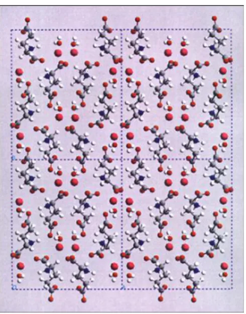 Fig. 4  L-sodium glutamane crystal shape and  schematic drawing of molecular packing. 