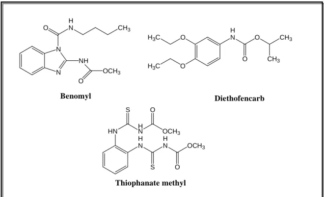 Fig. 10  一般的な植物炭疽病に対する合成農薬 