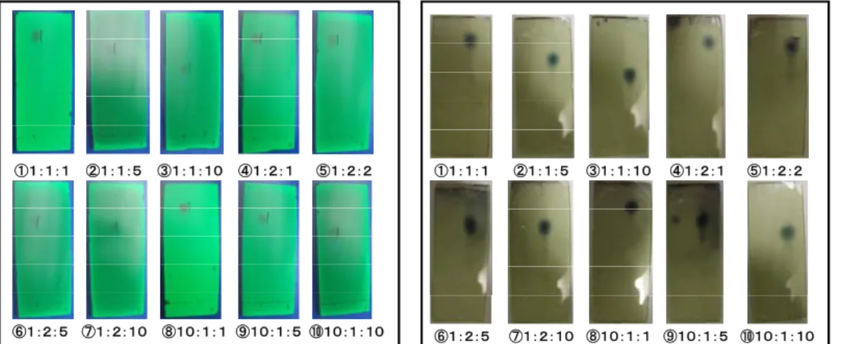 Fig. 16    展開溶媒 CHCl 2 :Et 2 O:C 6 H 5 CH 3 での TLC 