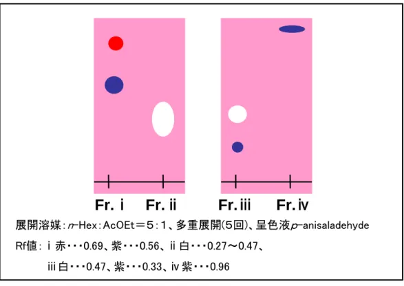 Fig. 19  TLC の ｐ －anisaldehyde による呈色 
