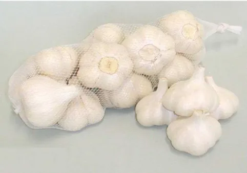 Fig. 1  福地ホワイト六片種 