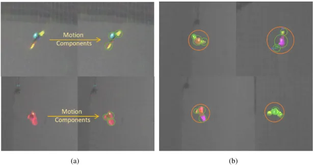 Figure 2.11: A demonstration of 2D motion component and groups. (a). Extraction of motion components from pixels in 6D