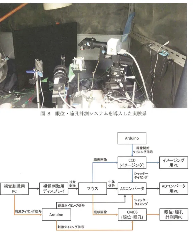 図 8 眼位・ l 瞳孔計測システムを導入した実験系 視覚刺激用 ディスプレイ イメージング用 PCAD コンバータ用PC 眼位・瞳孔 計測用 PC 図 9 視覚刺激実験装置のブロック I j g l ( 奥畑 ， 2018 修士論文 [ 1 7 ] から引用 )