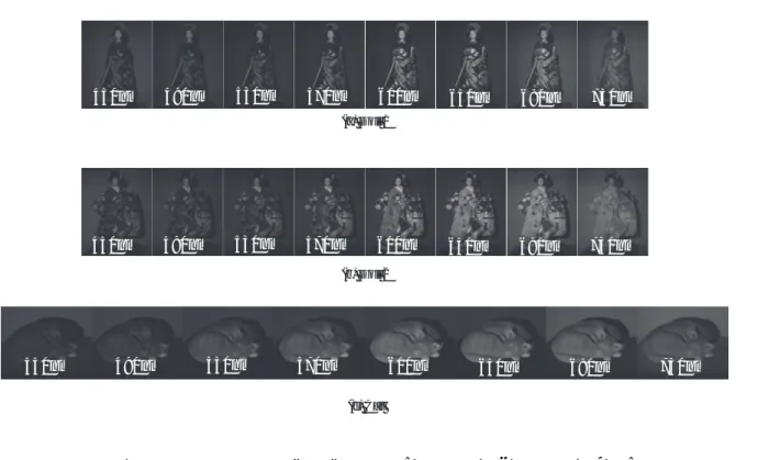 図 5.3 撮影したマルチバンド画像： (a) Doll 1, (b) Doll 2, (c)Cat