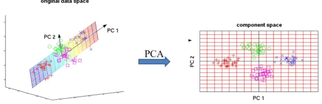 Figure 4.1: Principle Component Analysis (PCA) their projections is