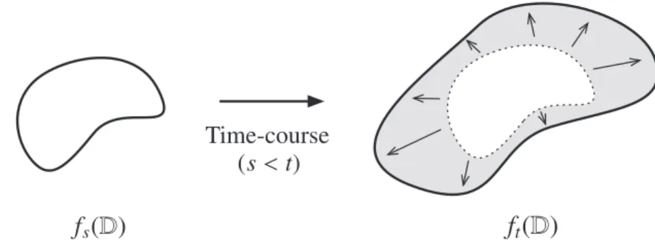 Fig. 2. The image of the unit disk D under f t expands continuously as t increases.